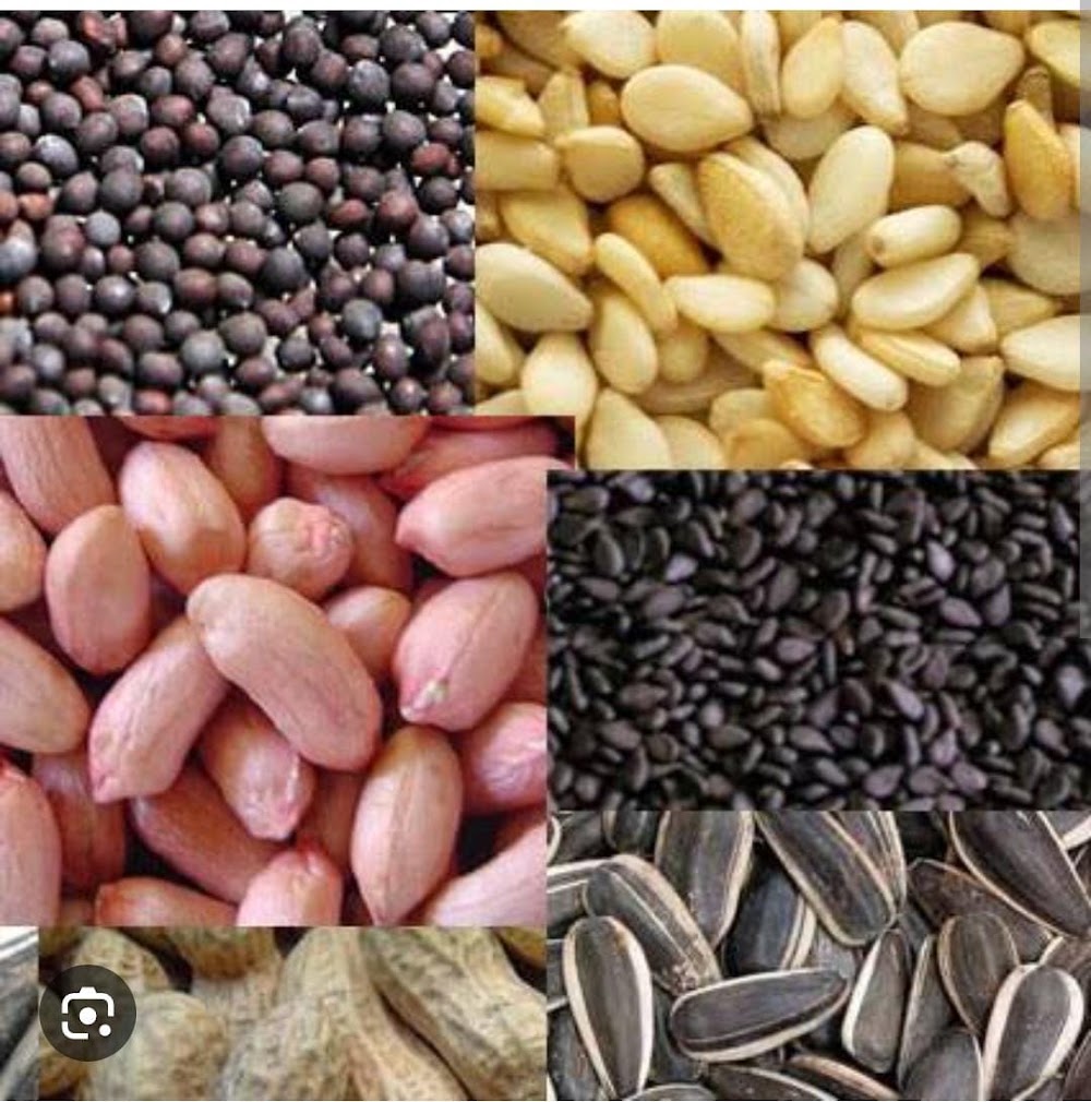 Mustard, sesame, groundnut and sunflower seeds